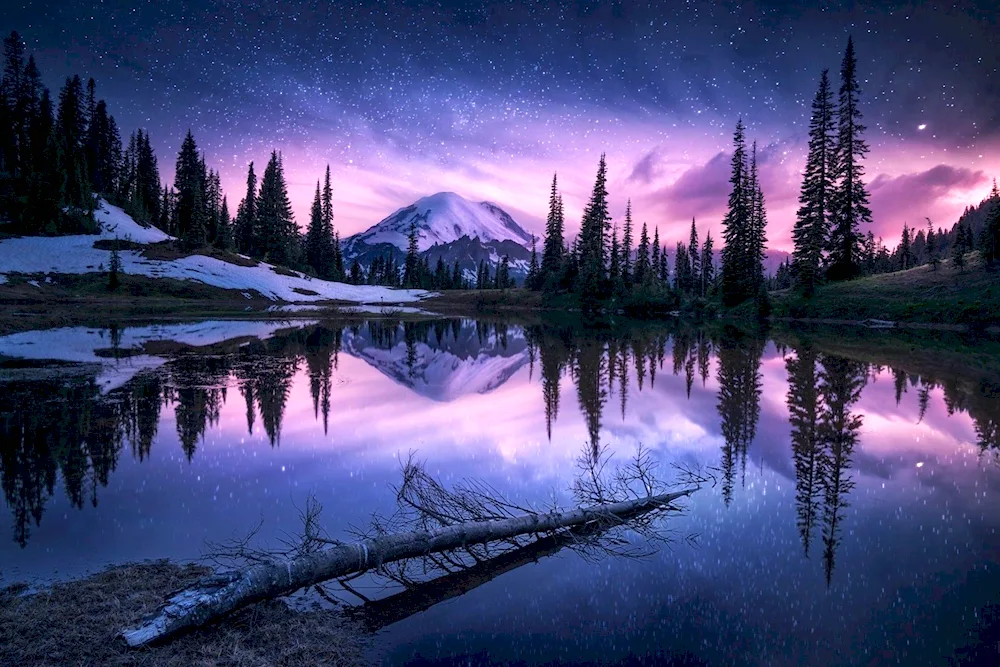 Nature at night