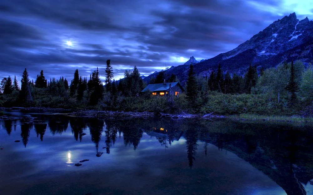 Night Sky