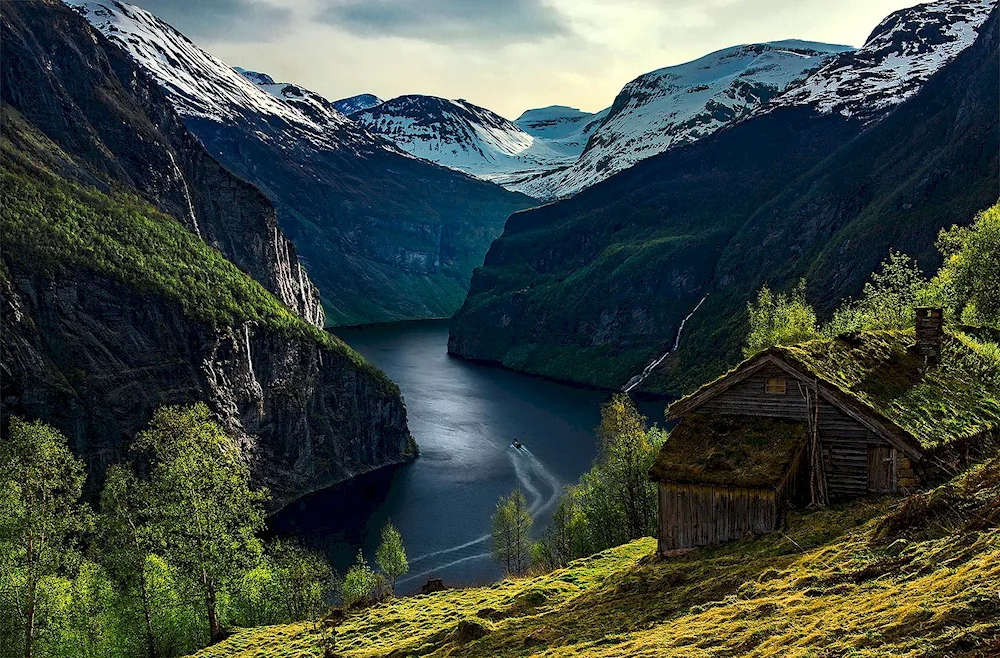 Norwegian Nature