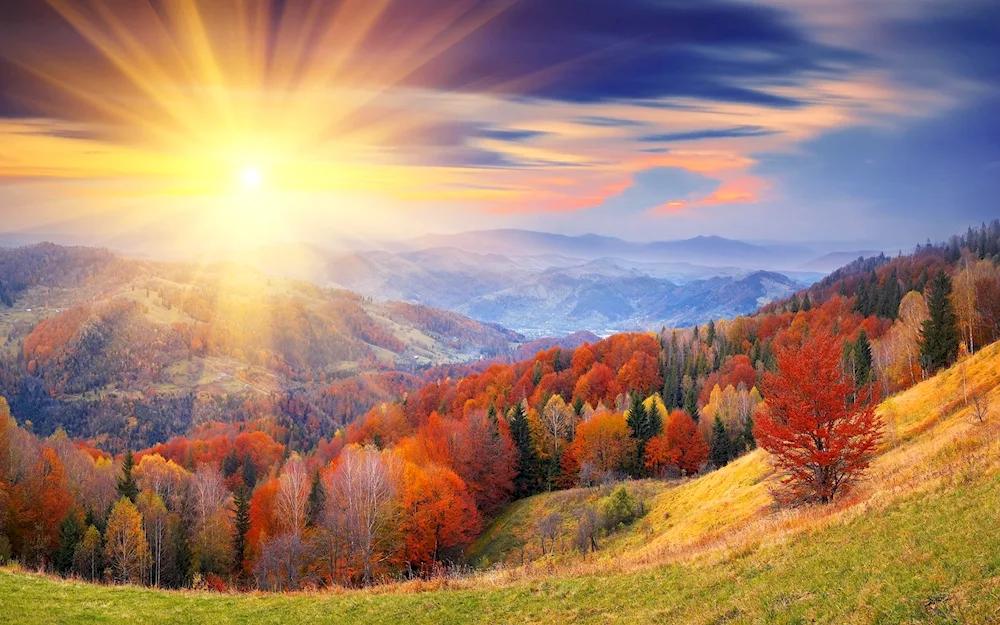 Autumn nature
