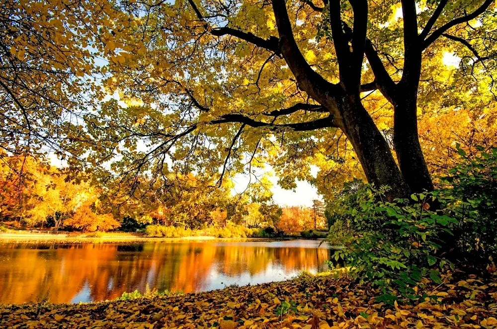Autumn