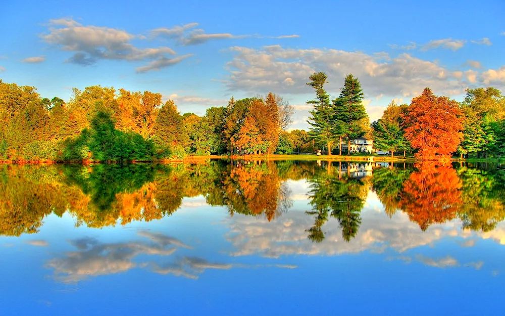 Autumn Nature