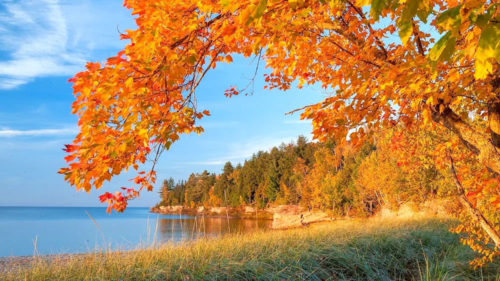 Autumn nature