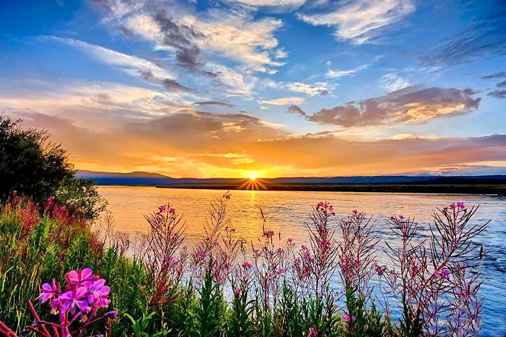 Perry nature. dawn