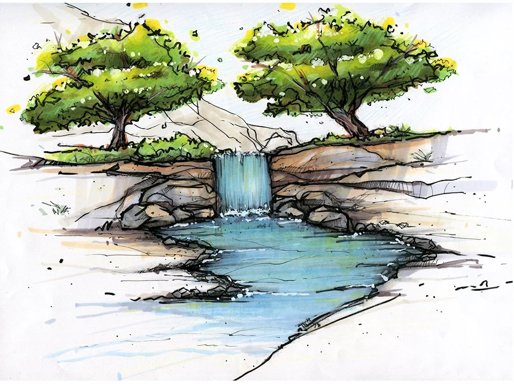 Nature drawing