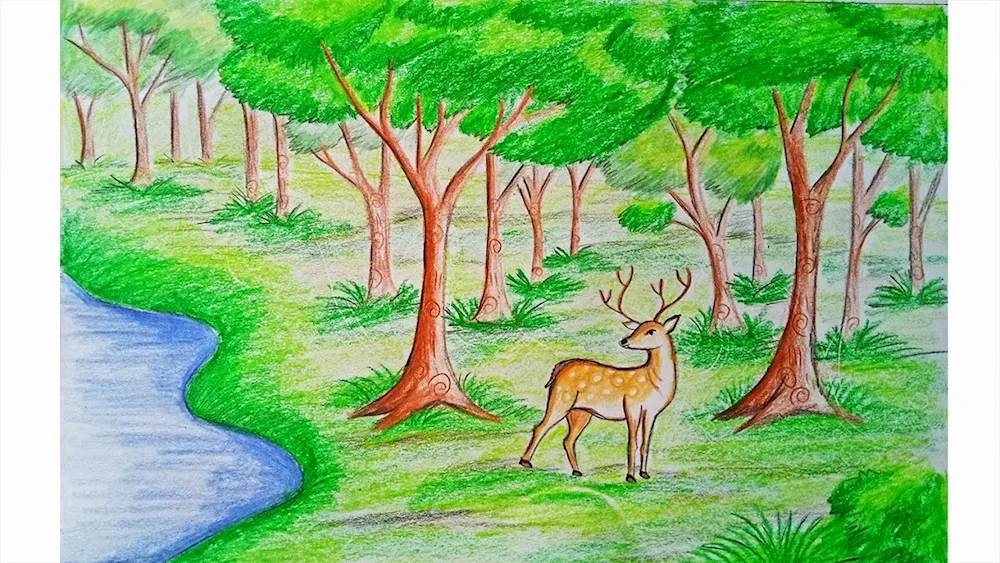 Nature drawing