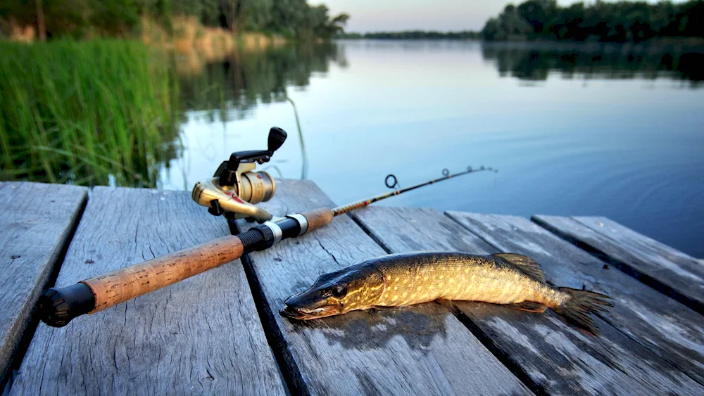 Nature fishing