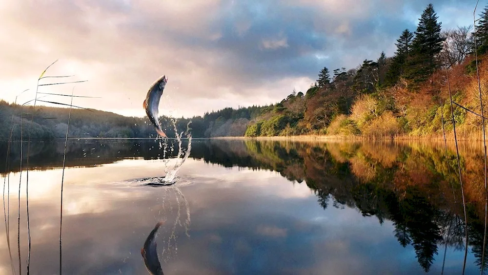 Nature fishing
