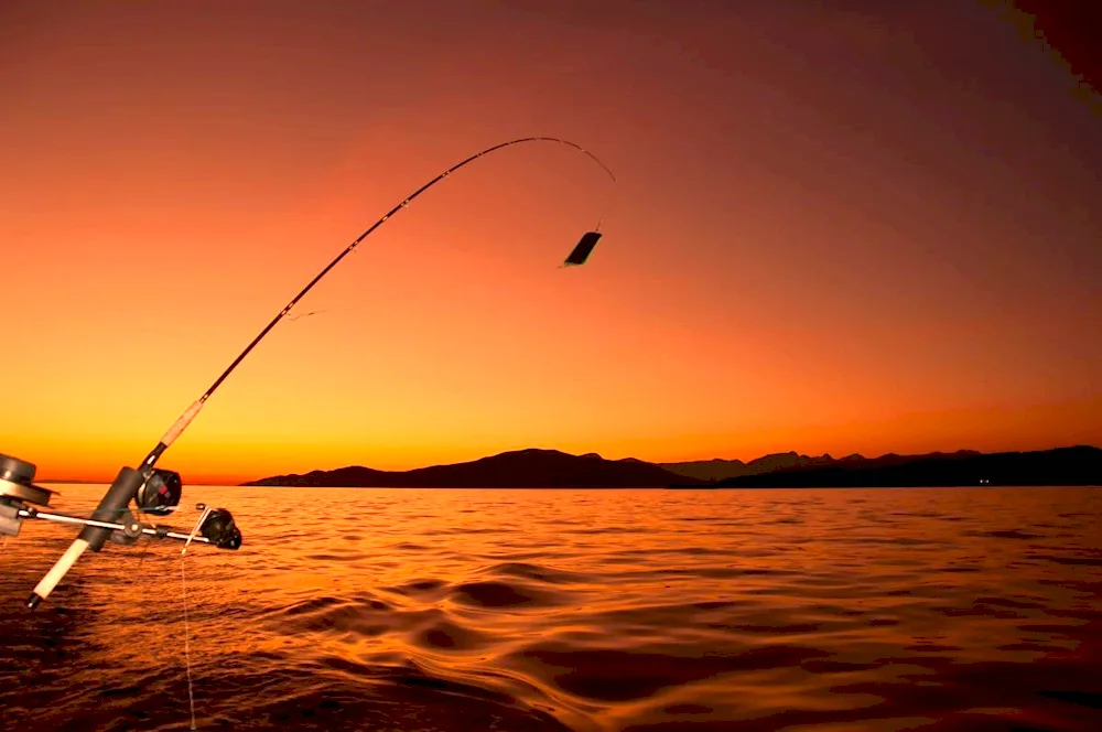Fishing desktop screensaver