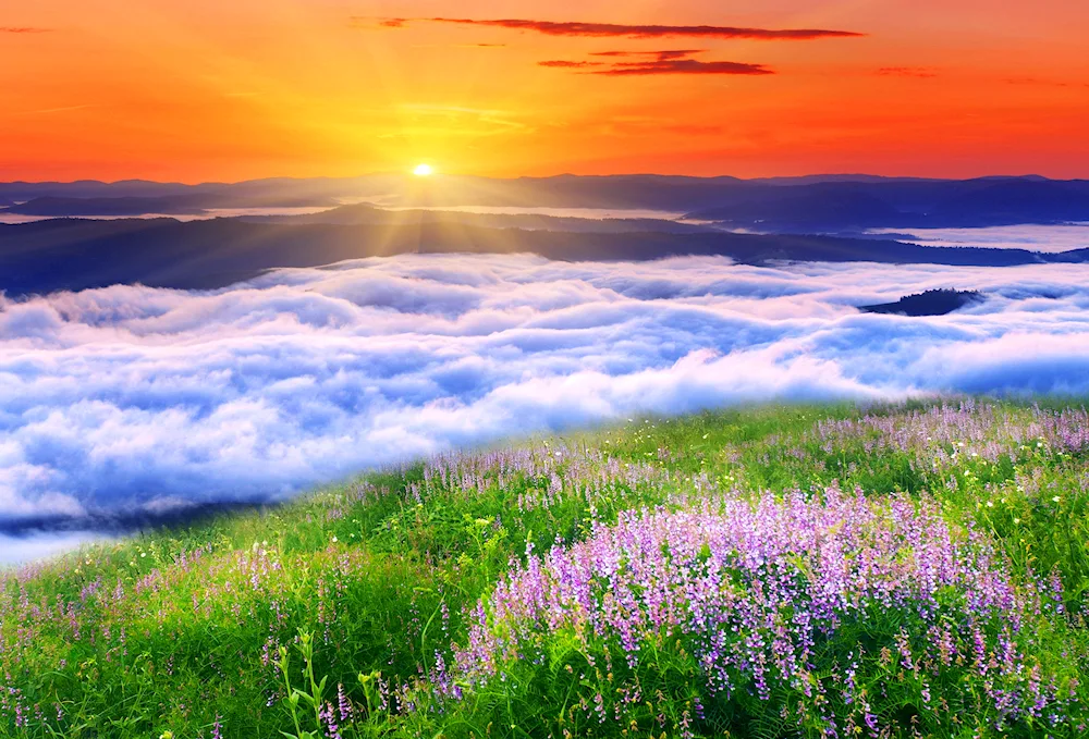 Nature sunrise