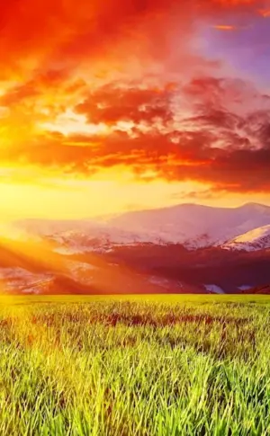 Nature sun