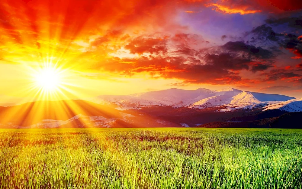 Nature sun