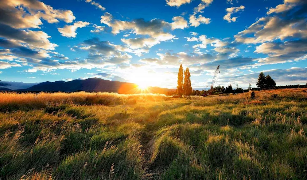 Beautiful sun