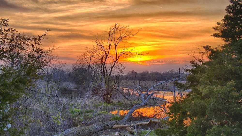 Spring sunset