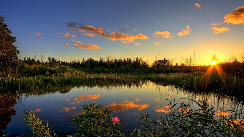 Scape lake.