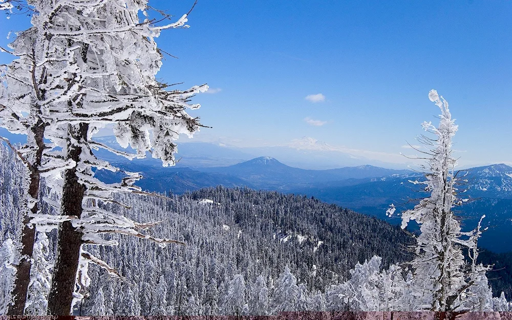 Winter landscape landscape