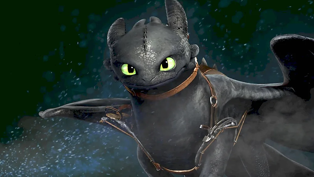 Tame the Dragon 2 Toothless