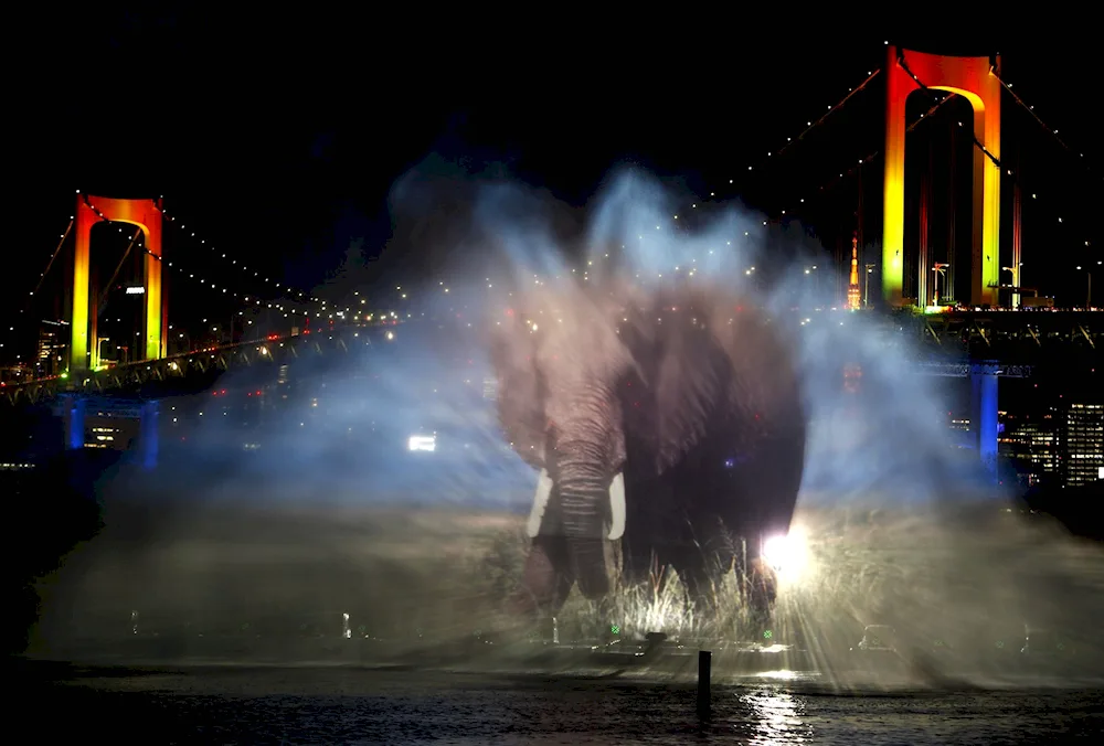 Projection on water