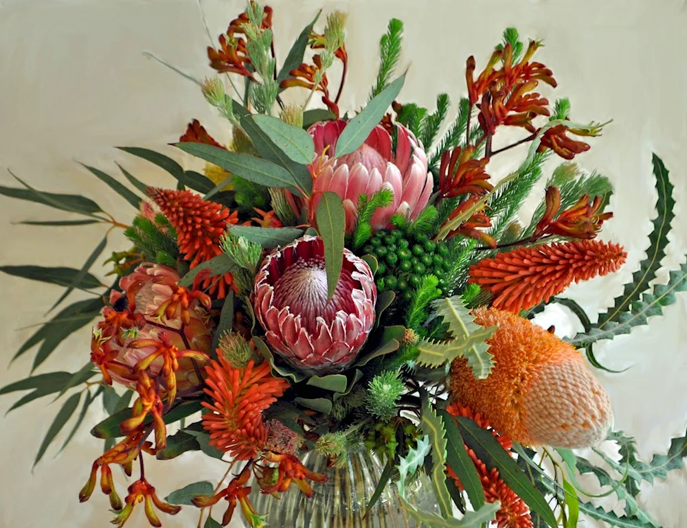 Protea Magnifica