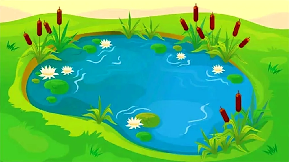 Pond for children