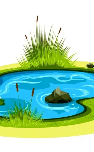 Pond for children