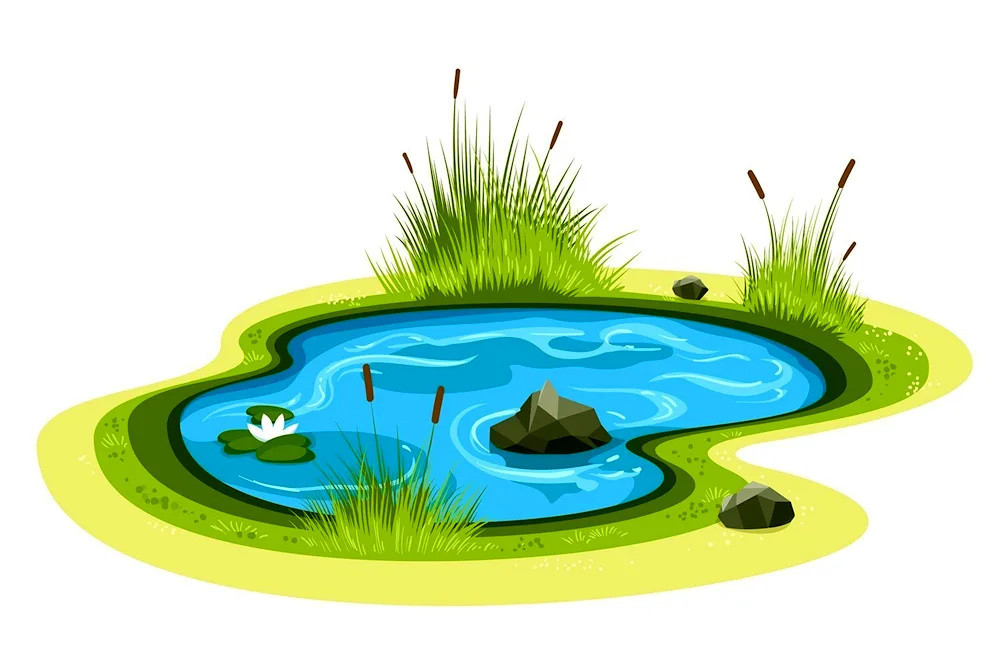 Pond for children