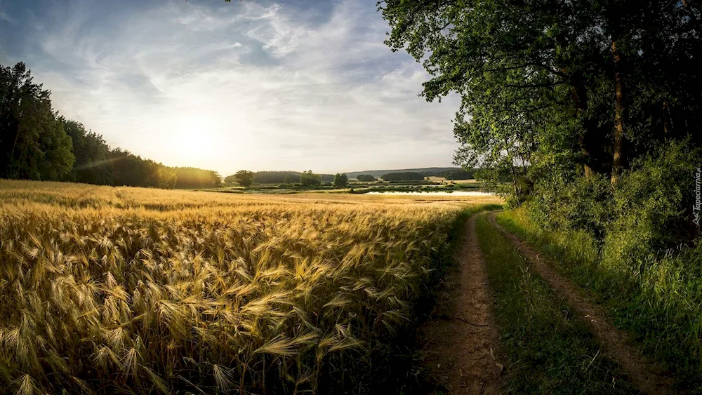 Belorussia nature