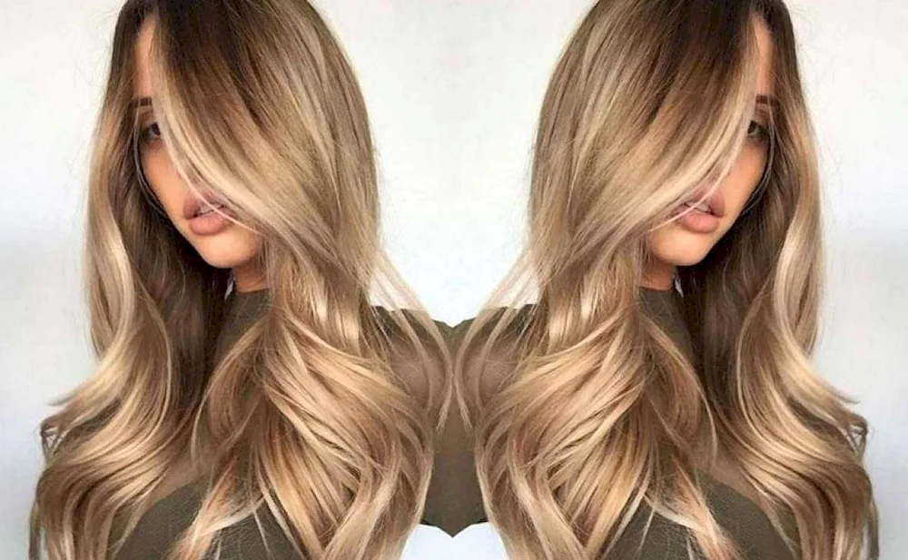 Wheat balayage shatush