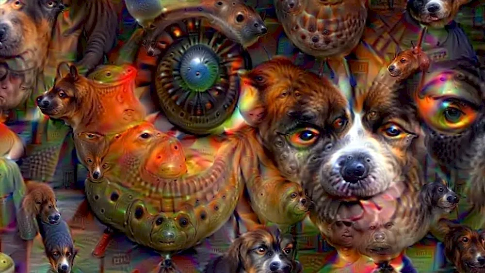 Psychedelic dog