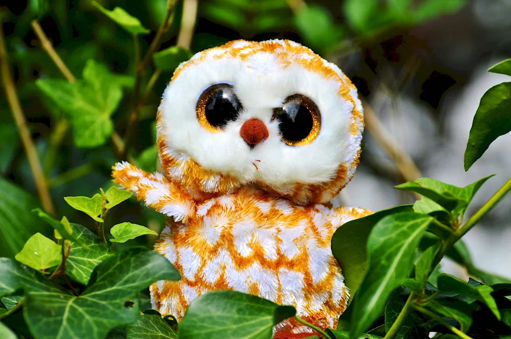 Bearded owl