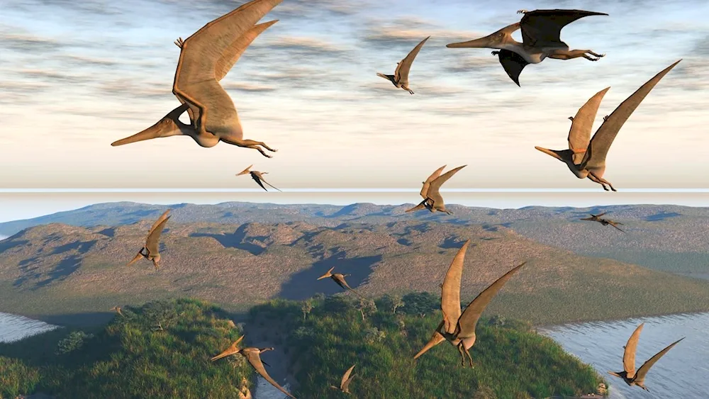 Pteranodon Burian