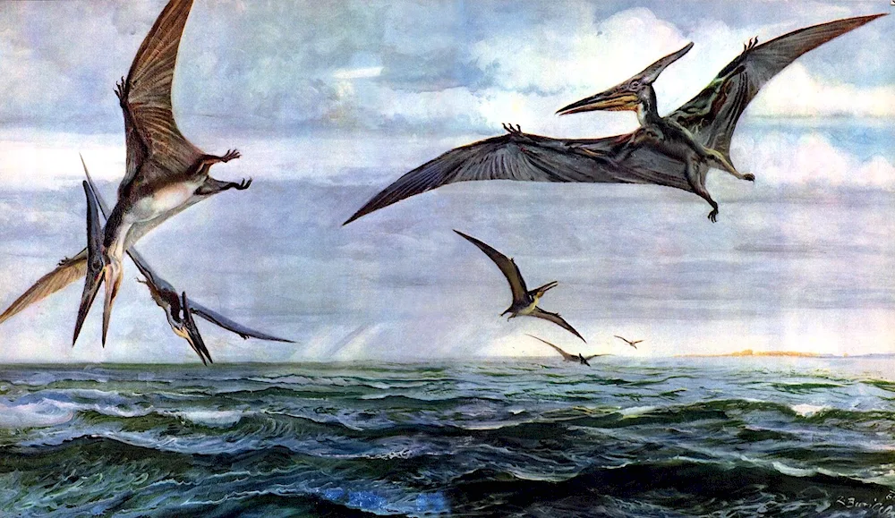 Pteranodon and Quetzalcoatl