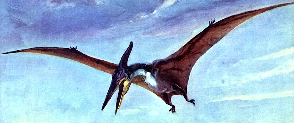 Jurassic Park pterosaurs