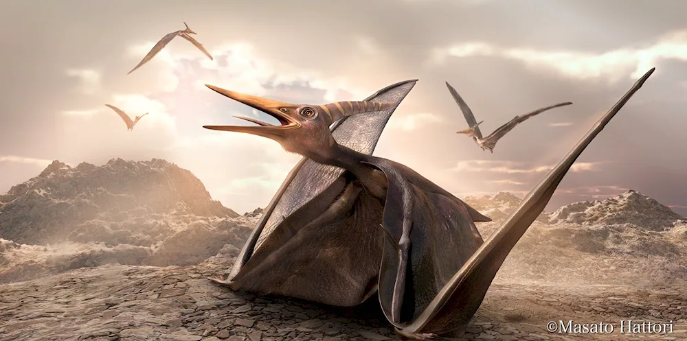 Pteranodon dinosaur