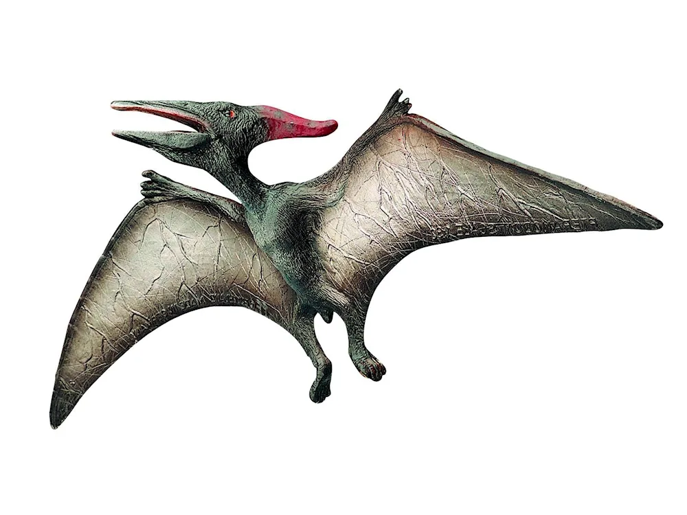 Pterodactyls of the Jurassic Park