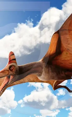 Pteranodon Jurassic Park