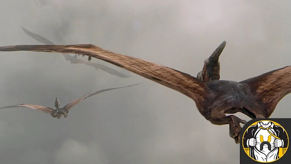 Tapejara pterosaur