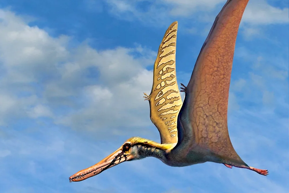 Pterosaurus Pteranodon