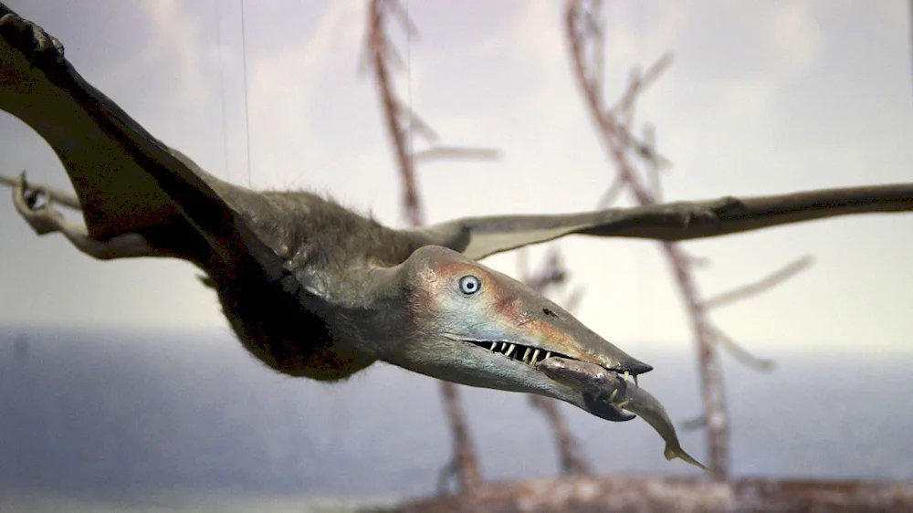 Pteranodon Jurassic World