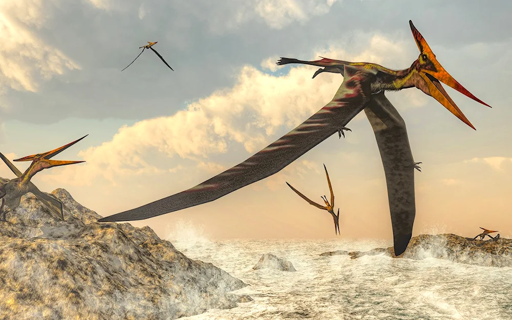 Ornithocheirus and QuetzalcoatlPteranodon Pteranodon Pteranodon Pteranodon