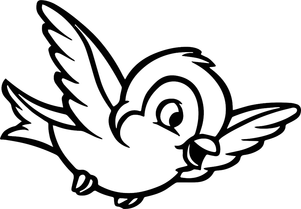 Bird drawing