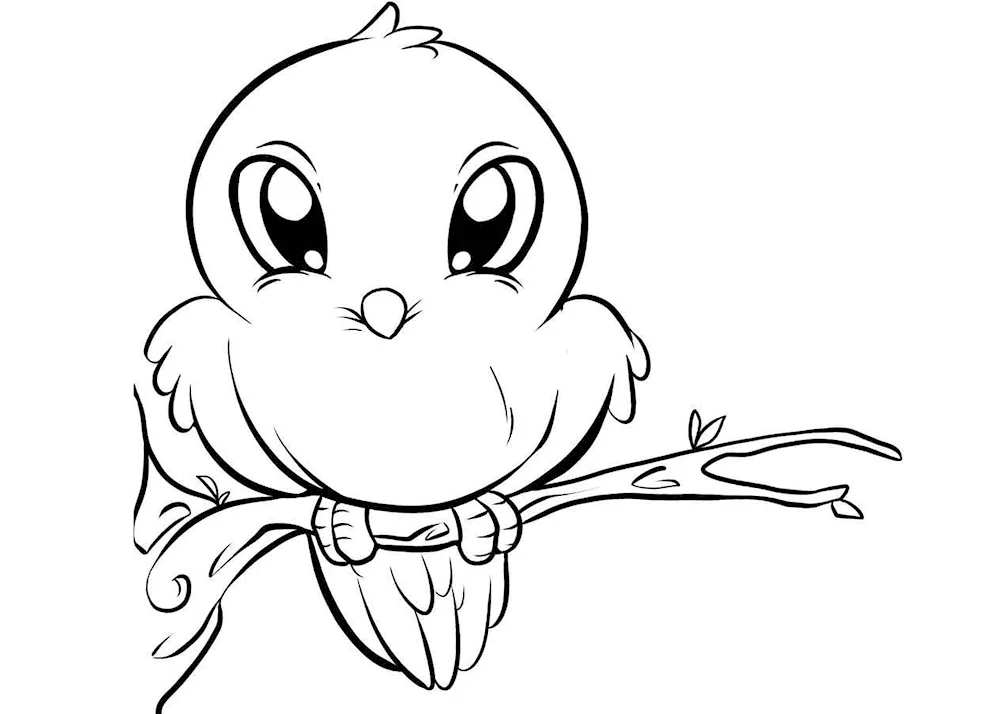 Chickadee colouring for kids