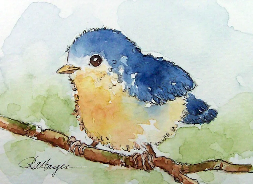 Aquaquarelle Drawings