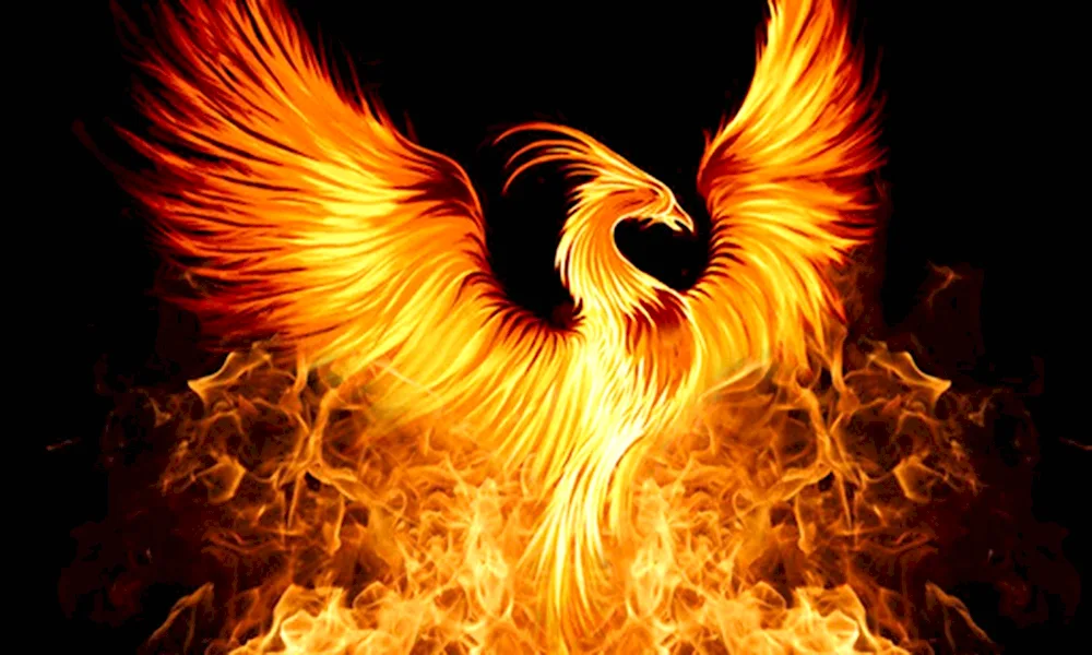 Phoenix Bird Rising from the Ashes