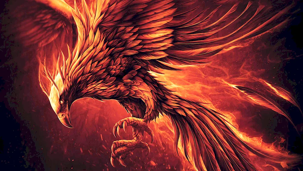 Phoenix Rebirth Phoenix Rebirth