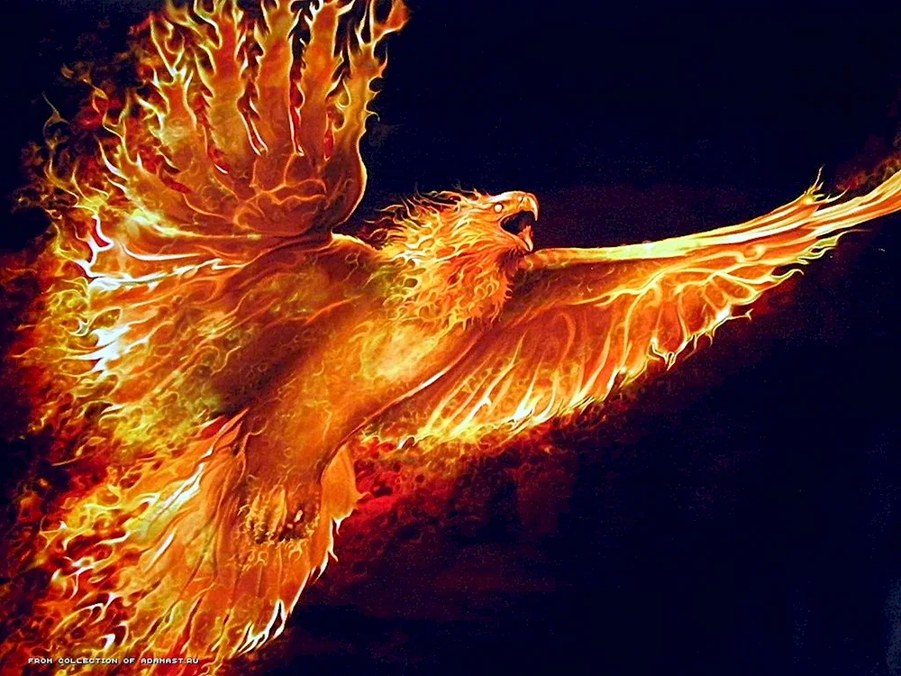 Fiery Falcon Rarog