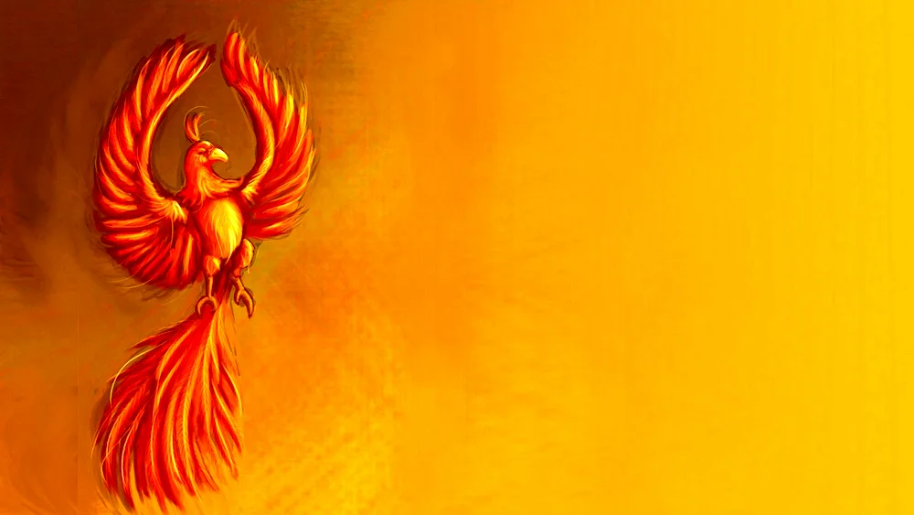 Simurgh Bird Phoenix