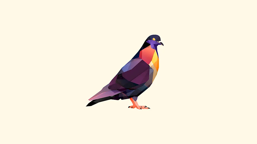 Minimalist bird