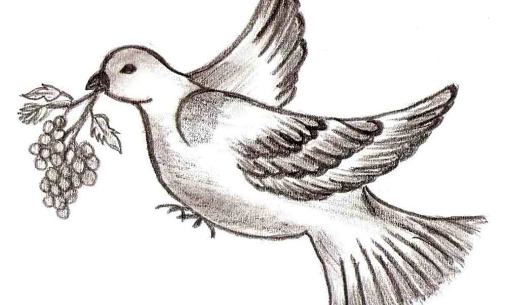 Bird drawing