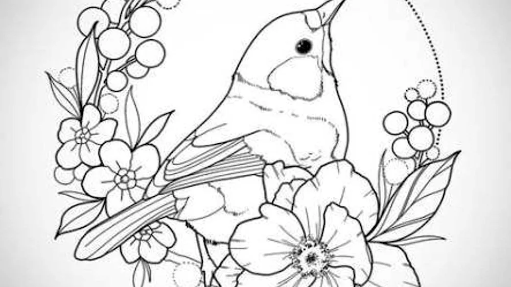 Colouring pictures